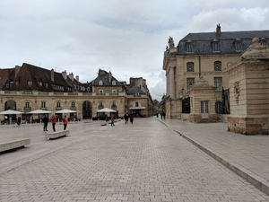 Ménage à domicile Dijon